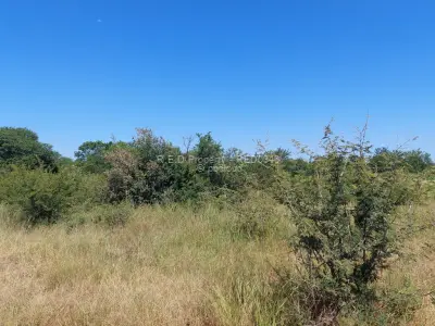 Residential Stand for Sale in Manningdale