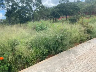 Residential Stand for Sale