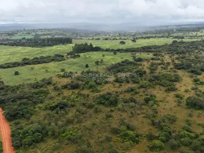 Farm/Plot for Sale in Chipinge