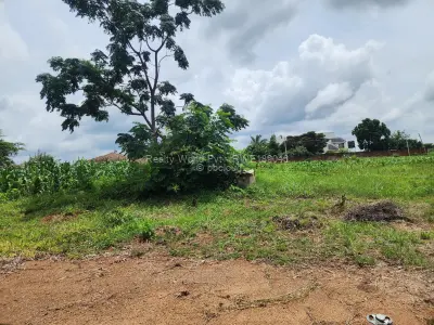 Residential Stand for Sale in Mount Pleasant Heights