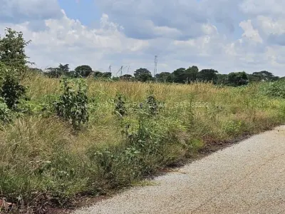 Residential Stand for Sale in Norton