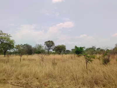 Commercial Stand for Sale in Nyanga