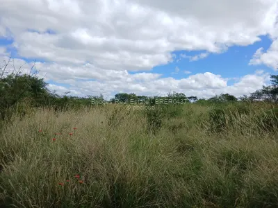 Residential Stand for Sale in Kwekwe