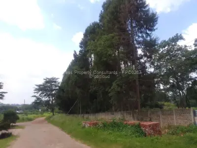 Residential Stand for Sale in Quinnington