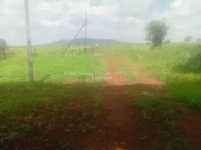 Farm/Plot for Sale in Mount Hampden