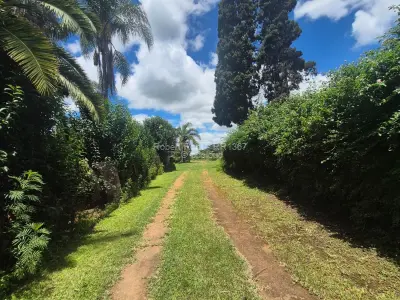 Commercial Stand for Sale in Mount Hampden