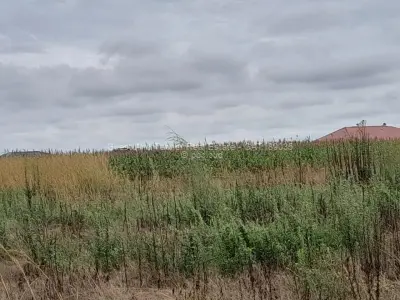 Residential Stand for Sale in Mbudzi