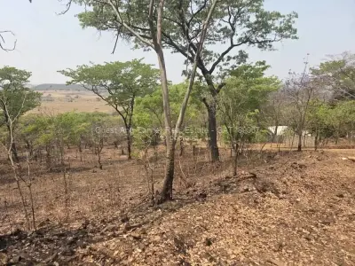 Residential Stand for Sale in Lake Chivero