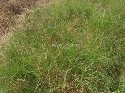 Residential Stand for Sale in Granary Park