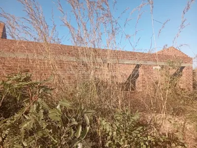 Commercial Stand for Sale in Chinhoyi