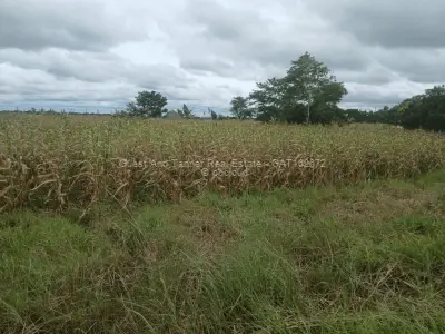 Residential Stand for Sale in Norton