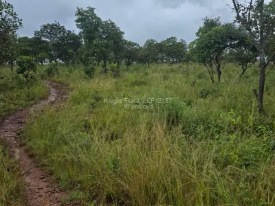 Residential Stand for Sale in Shawasha Hills