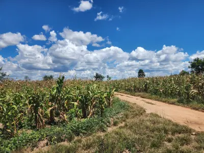 Residential Stand for Sale in Rydale Ridge