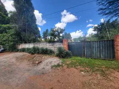 Commercial Stand for Sale in Avondale West