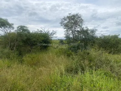 4 Acre Stand In Woodville Park For Sale