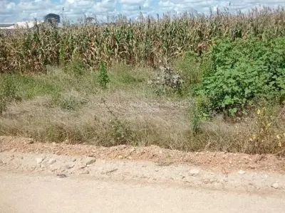 250 Square Meter Stand In Cowdray Park For Sale