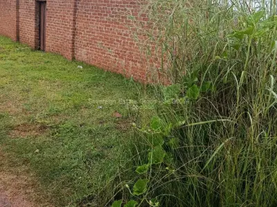 Residential Stand for Sale in Mount Pleasant Heights