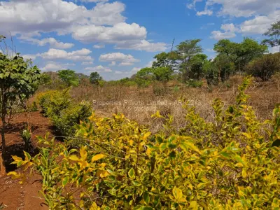 Residential Stand for Sale in Kwekwe