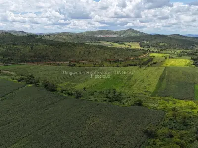 Farm/Plot for Sale in Kadoma