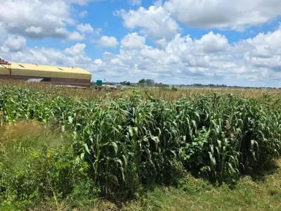 Industrial Stand for Sale in Damofalls