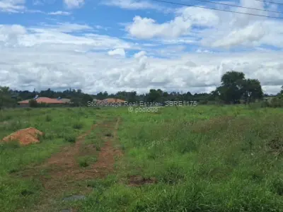 Farm/Plot for Sale in Buena Vista