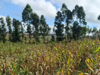 Farm/Plot for Sale in Marondera
