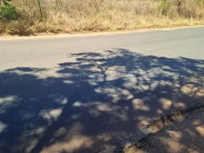 Residential Stand for Sale in Quinnington