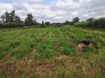 Residential Stand for Sale in Waterford