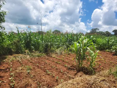 Industrial Stand for Sale in Chinhoyi