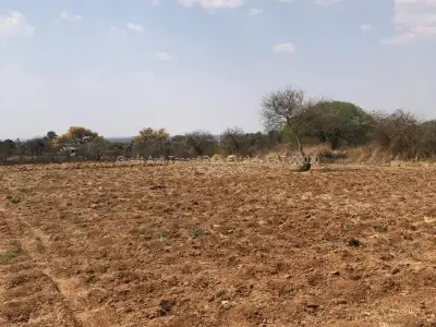 Residential Stand for Sale in Nyamandlovu