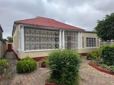 CBD Living With Future Business Possibilities