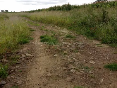 Residential Stand for Sale in Budiriro