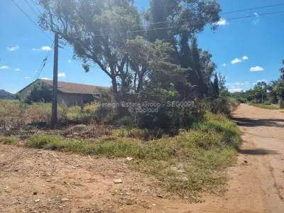Commercial Stand for Sale in Monavale