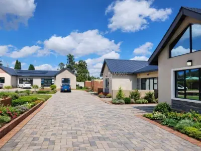 Hatfield Cluster Stand For Sale