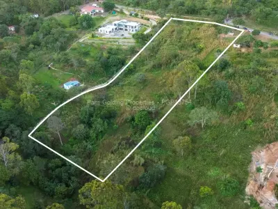 Residential Stand for Sale in Helensvale