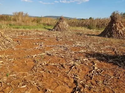 Residential Stand for Sale in Norton