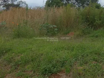 Residential Stand for Sale in Borrowdale Brooke