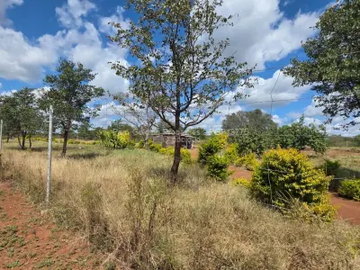 Farm/Plot for Sale in Nyamandlovu