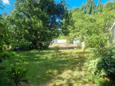 Residential Stand for Sale in Mount Pleasant