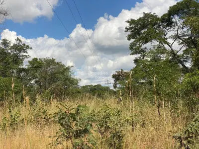 Farm/Plot for Sale in Kadoma