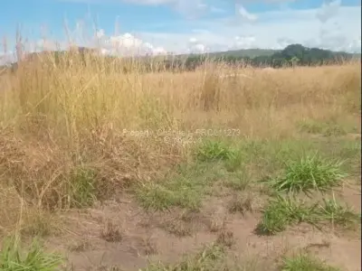 Residential Stand for Sale in Norton