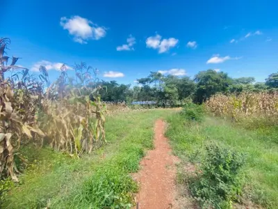 Farm/Plot for Sale in Glen Forest