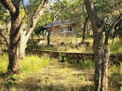 Burnside Hidden Gem Property