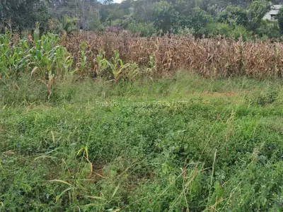 Residential Stand for Sale in Borrowdale