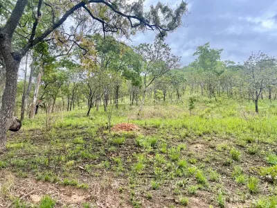 Residential Stand for Sale
