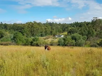Farm/Plot for Sale in Nyanga