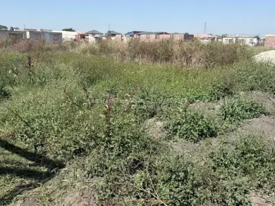 Residential Stand for Sale in Budiriro