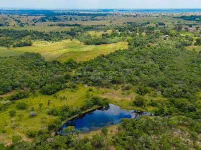 Farm/Plot for Sale in Nyabira