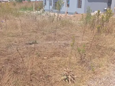 Residential Stand for Sale in Nyabira