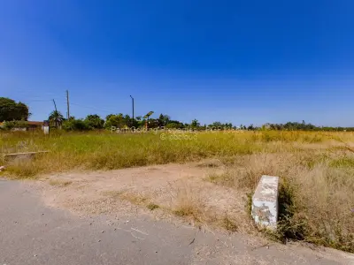 Commercial Stand for Sale in Borrowdale